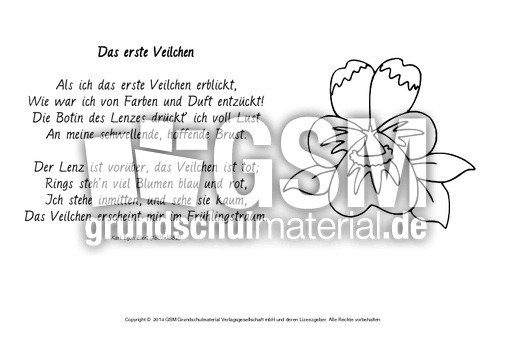 Das-erste-Veilchen-Ebert-ausmalen.pdf